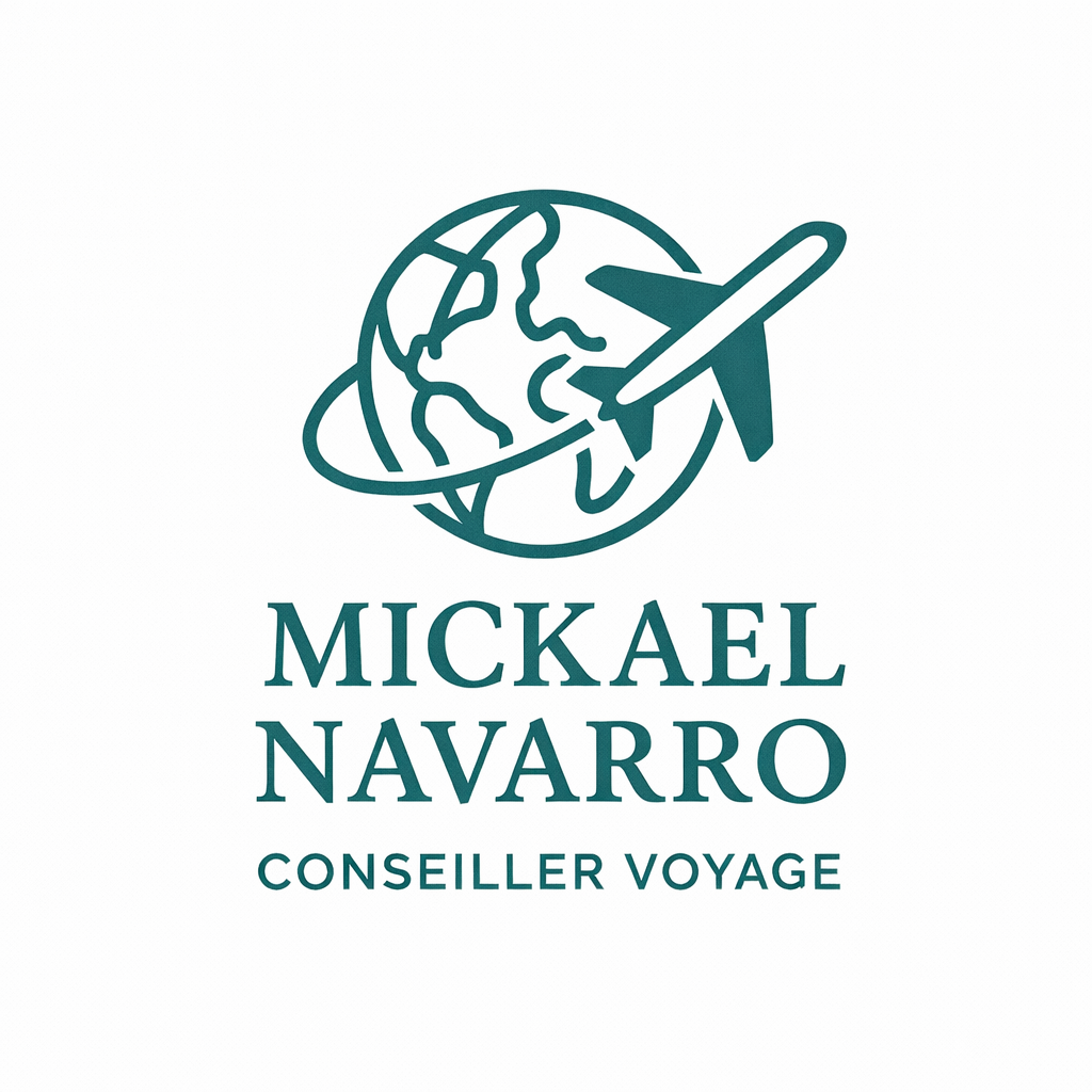 Mickael Navarro Voyages